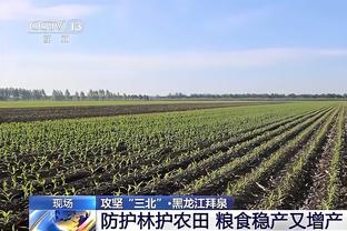 哈弗茨数据：评分7.4，破门+传球成功率85%，另有1解围2抢断