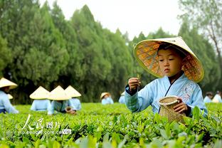 雷竞技客服怎么找